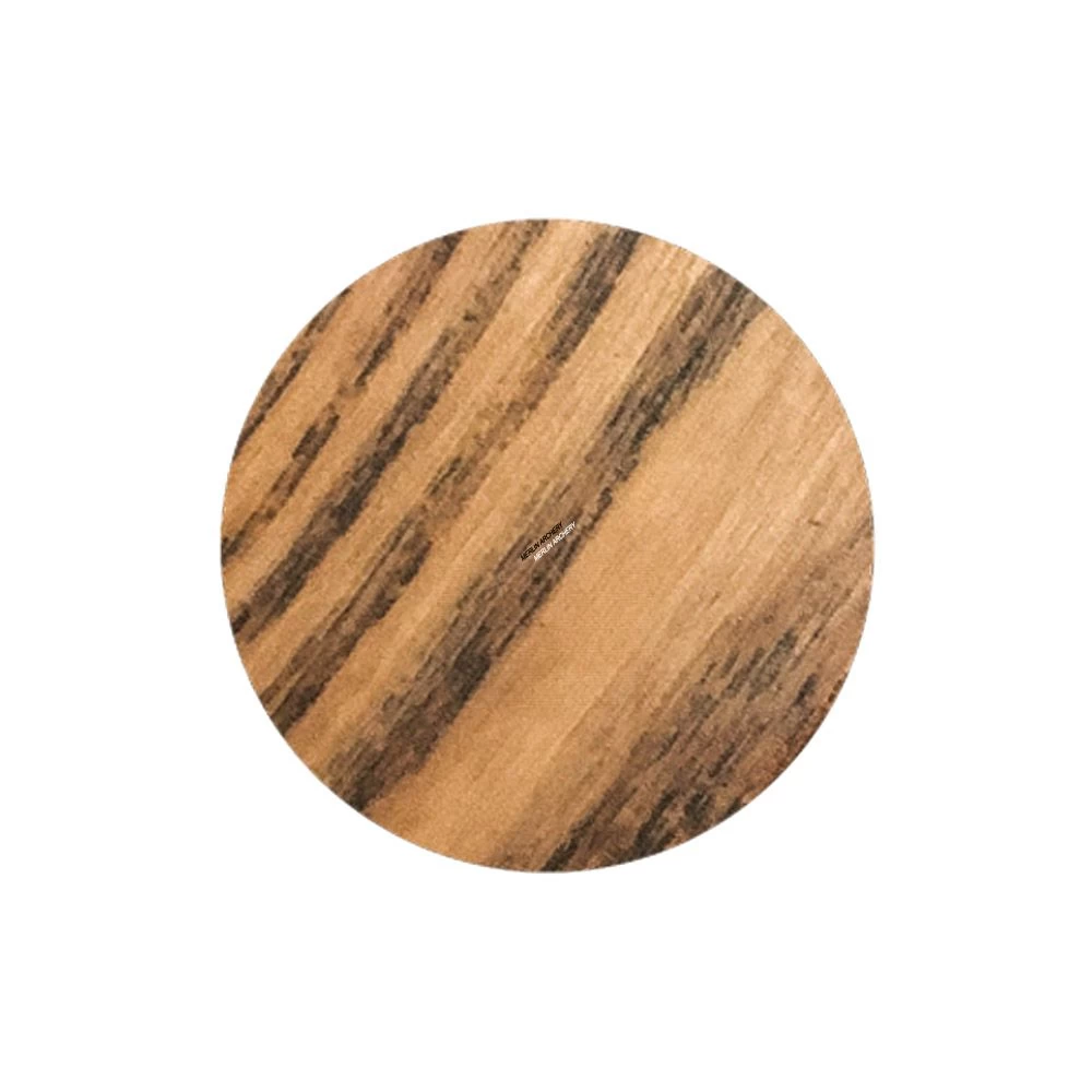 Hoyt Satori Recurve Limbs - Short 2 Hoyt Satori Recurve Limbs - Short - Image 2